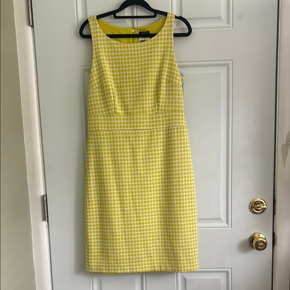 Ann Taylor Citron Green/White  Sleeveless Sheath Dress, Size Small